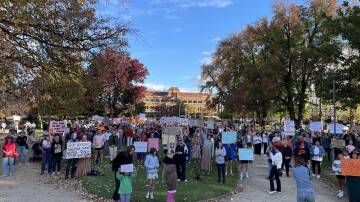 At the "No More" rally on Sunday at Robertson Park. Picture by William Davis