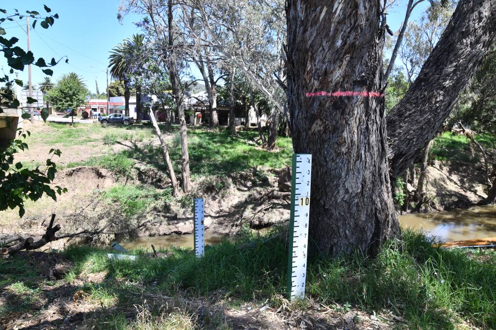 The water level was marked on a tree by Eugowra residents at the Mandagery Creek Bridge, where floodwater climbed more than 11 metres-high. Picture by Jude Keogh.