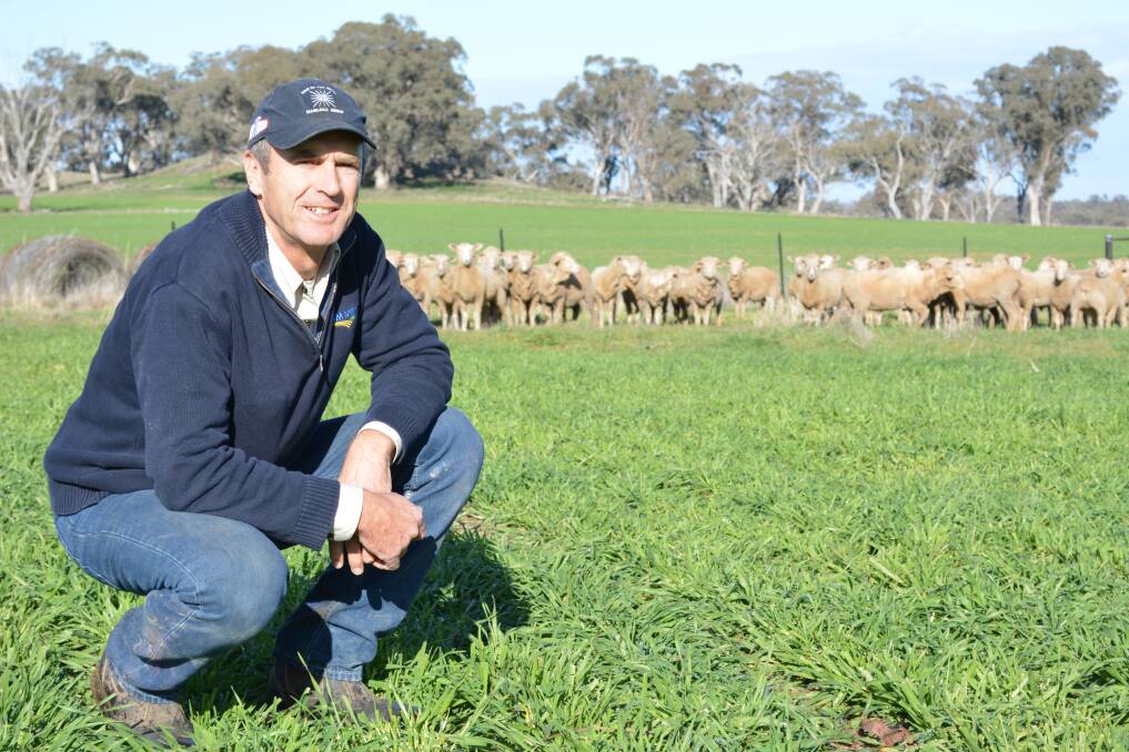 MSM Milling director, Peter Mac Smith on the family farm 'Little Boree' where the small canola processing plant first started in 1992. Picture via The Land