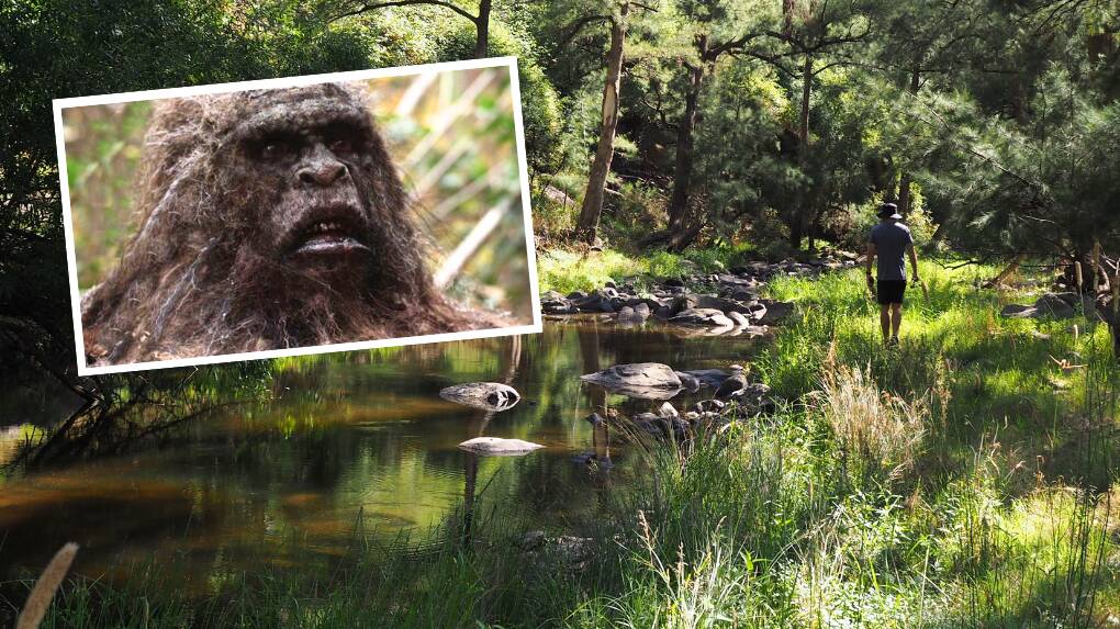 Image of the legendary Yowie with background photgraphy of Ophir Reserve. Picture (inset) from Australian Yowie Research (AYR) Society Facebook page and Ophir Reserve by Carla Freedman