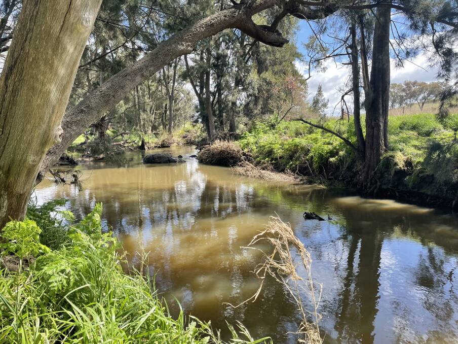 The Molong Creek, where students of the Fairbridge Farm School played in its hayday. The site today hosts the Fairbridge Park memorial. 