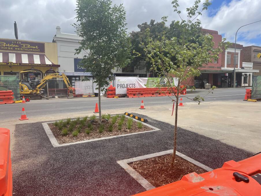 The new Red Ash and Field Maple trees installed at Lords Place, Orange. 
