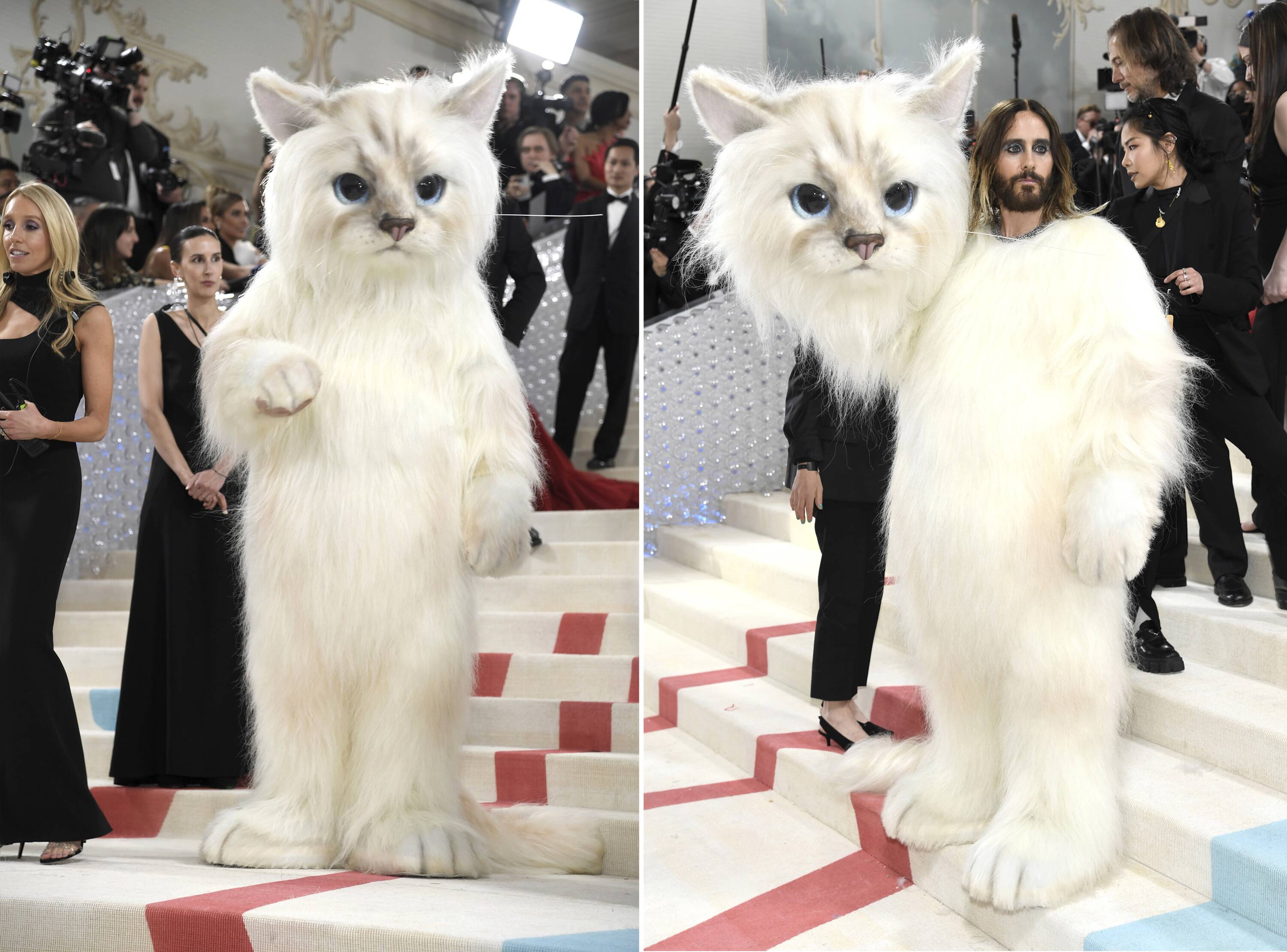 Met Gala's special guest revealed: Karl Lagerfeld's cat Choupette