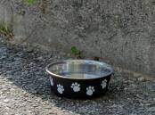 A generic photo of a dog bowl. Picture by Koa'link on Unsplash