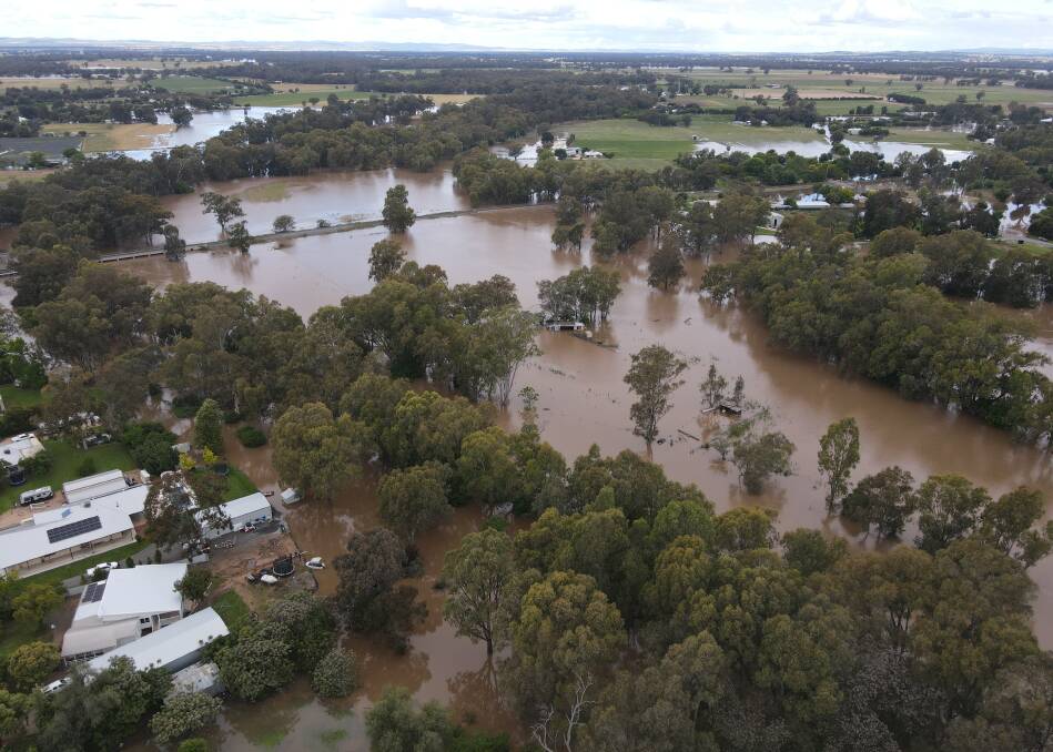 The Lachlan River sprawling beyond its banks, reaching the major flood level in Forbes on Thursday, November 4, 2022. Picture by Josh Gavin