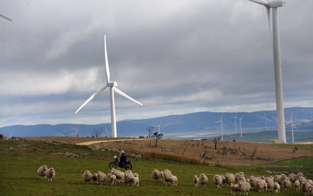 A farmer mustering lambs and ewes with wind turbines in the distance at his property in Tarago, NSW. File picture by Michael Petey.