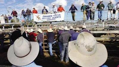 The final sale at the Orange saleyards in 2008. 