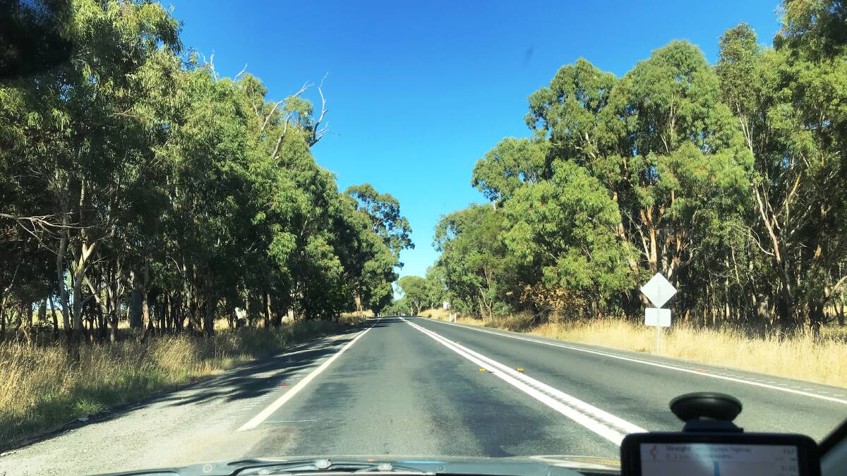 Xxx PIC: Transport Minister Andrew Constance wanted highways cleared of all trees for 40 metres each side like these on the Olympic Highway.