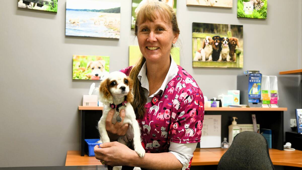 Lisa Brisbane has been the owner of Canobolas Family Pet Hospital for 25 years. Picture by Carla Freedman