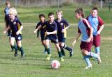 Holy Family White v Molong Maroon boys. Picture by Alexander Grant