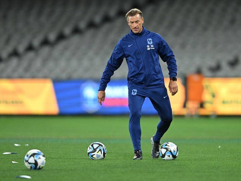 Herve Renard set to become new France Women's coach after ex-coach sacked  following player MUTINY